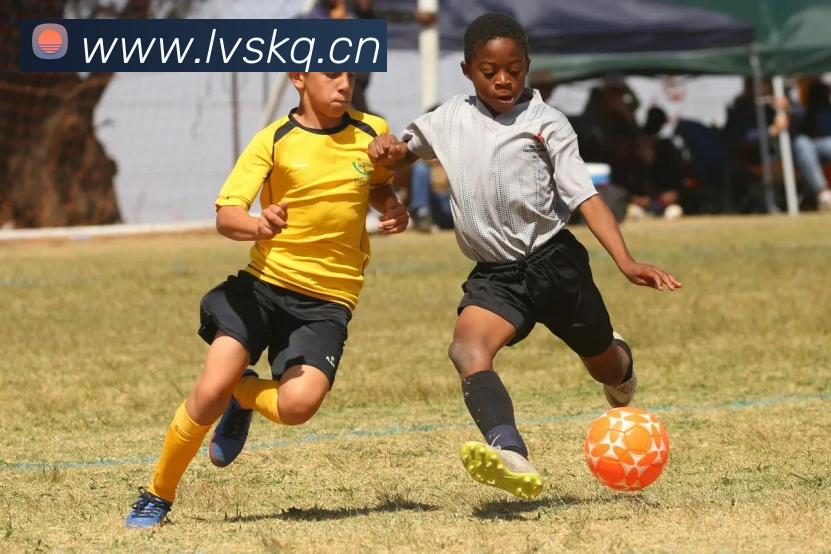 App Interface Preview